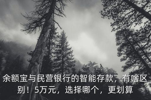 余額寶與民營(yíng)銀行的智能存款，有啥區(qū)別！5萬元，選擇哪個(gè)，更劃算