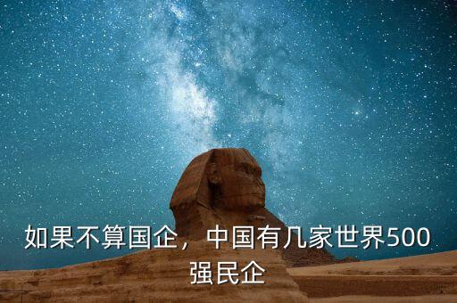 如果不算國企，中國有幾家世界500強(qiáng)民企
