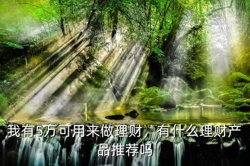 我有5萬(wàn)可用來(lái)做理財(cái)，有什么理財(cái)產(chǎn)品推薦嗎