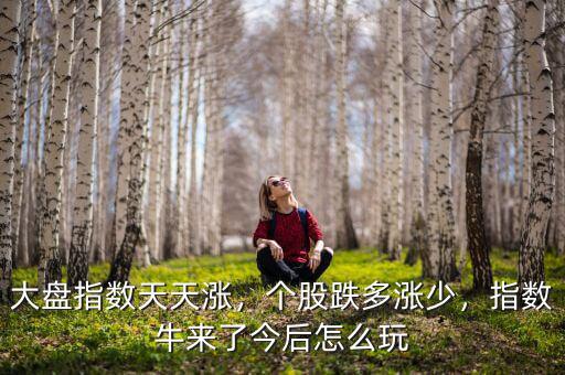 大盤指數(shù)天天漲，個股跌多漲少，指數(shù)牛來了今后怎么玩