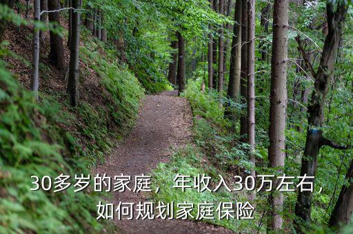 30多歲的家庭，年收入30萬左右，如何規(guī)劃家庭保險(xiǎn)