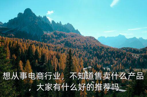 想從事電商行業(yè)，不知道售賣什么產(chǎn)品，大家有什么好的推薦嗎