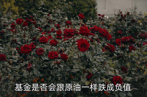石油基金怎么樣,長期持有石油基金
