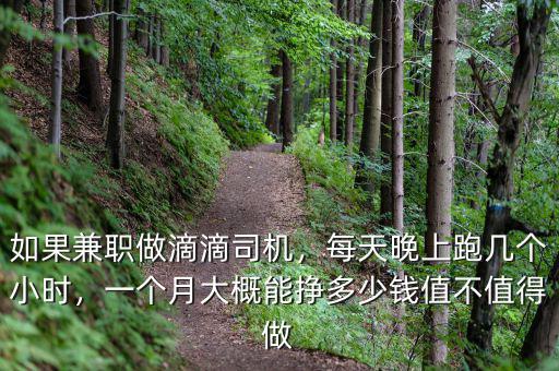 上海做滴滴專(zhuān)?月收入多少,滴滴專(zhuān)車(chē)的收入怎么樣