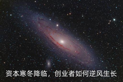 資本寒冬降臨，創(chuàng)業(yè)者如何逆風生長