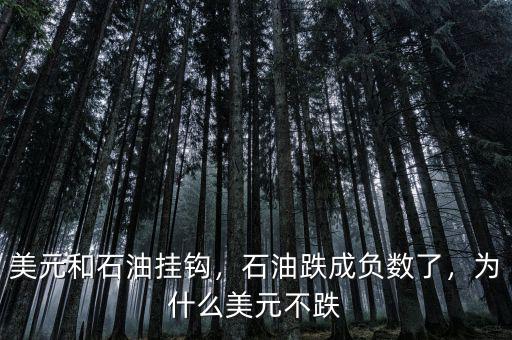 美元和石油掛鉤，石油跌成負(fù)數(shù)了，為什么美元不跌