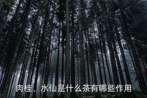 肉桂、水仙是什么茶有哪些作用
