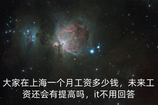 大家在上海一個月工資多少錢，未來工資還會有提高嗎，it不用回答