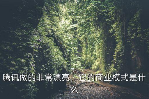 騰訊做的非常漂亮，它的商業(yè)模式是什么
