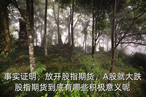 事實(shí)證明，放開(kāi)股指期貨，A股就大跌股指期貨到底有哪些積極意義呢