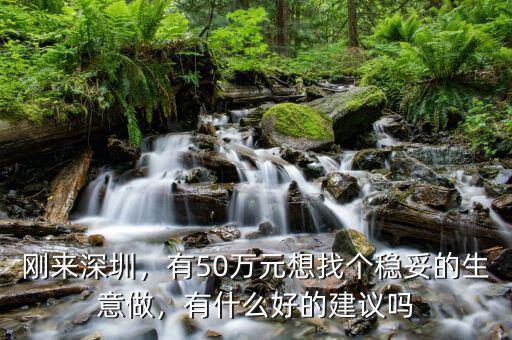 剛來深圳，有50萬元想找個穩(wěn)妥的生意做，有什么好的建議嗎