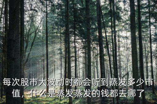 股災(zāi)蒸發(fā)了多少錢,蒸發(fā)的錢都去哪了