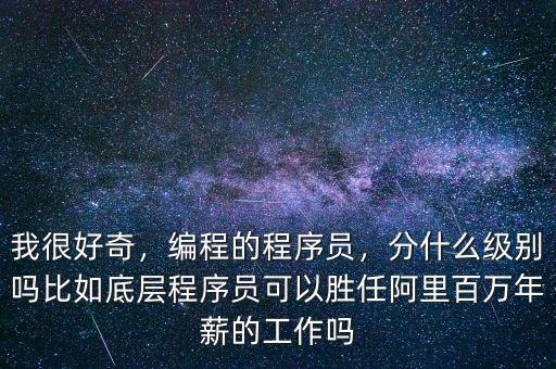 我很好奇，編程的程序員，分什么級別嗎比如底層程序員可以勝任阿里百萬年薪的工作嗎