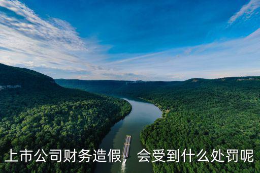 東盛集團希望通過財務(wù)造假達(dá)到什么目的,財務(wù)造假的目的是什么