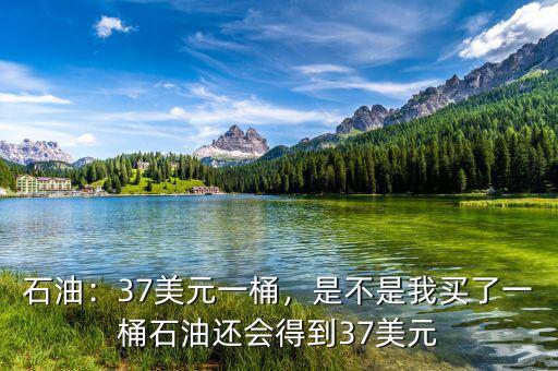 37美元的手續(xù)費(fèi)是多少,37美元時的收益大概是多少