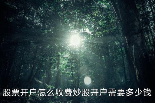 股票開(kāi)戶多少錢(qián)起,股票開(kāi)戶怎么收費(fèi)