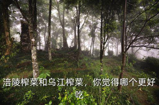 涪陵榨菜和烏江榨菜，你覺(jué)得哪個(gè)更好吃