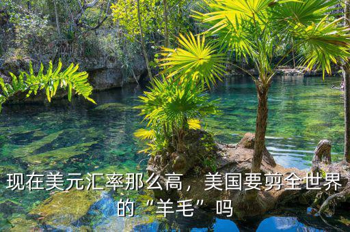 現(xiàn)在美元匯率那么高，美國要剪全世界的“羊毛”嗎