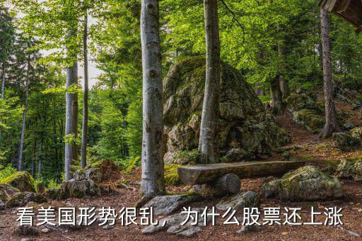 看美國形勢很亂，為什么股票還上漲