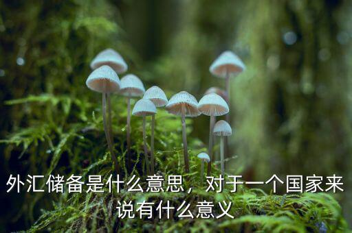 外匯儲(chǔ)備是什么意思，對(duì)于一個(gè)國(guó)家來(lái)說(shuō)有什么意義