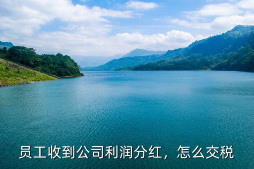 員工收到公司利潤分紅，怎么交稅