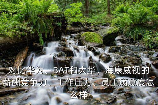 桐廬?？低曉趺礃?員工滿意度怎么樣