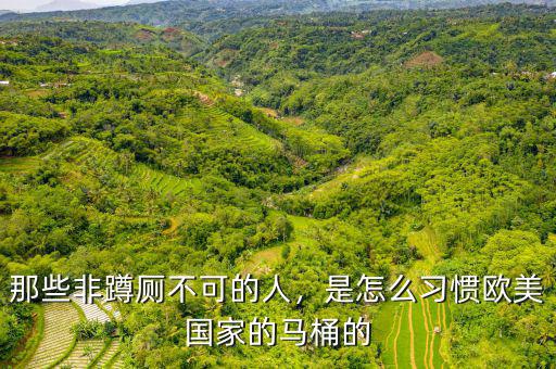 那些非蹲廁不可的人，是怎么習(xí)慣歐美國家的馬桶的