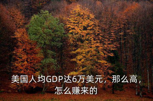 美國(guó)人均GDP達(dá)6萬(wàn)美元，那么高，怎么賺來(lái)的