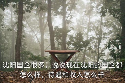沈陽國企很多，說說現(xiàn)在沈陽的國企都怎么樣，待遇和收入怎么樣