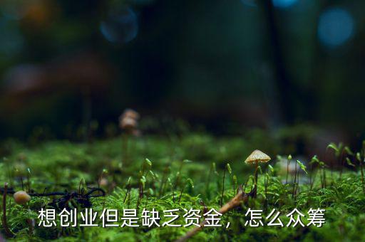 想創(chuàng)業(yè)但是缺乏資金，怎么眾籌