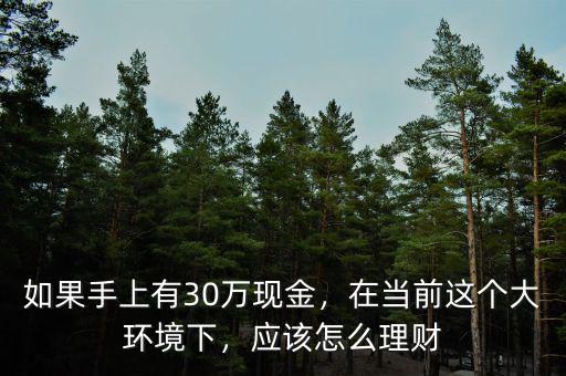 如果手上有30萬(wàn)現(xiàn)金，在當(dāng)前這個(gè)大環(huán)境下，應(yīng)該怎么理財(cái)