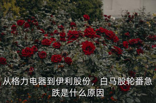 從格力電器到伊利股份，白馬股輪番急跌是什么原因