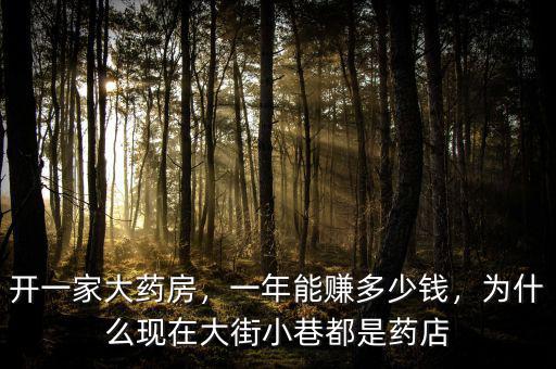 開一家大藥房，一年能賺多少錢，為什么現(xiàn)在大街小巷都是藥店