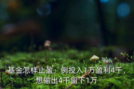 基金怎樣止盈，例投入1萬盈利4千，想輸出4千留下1萬