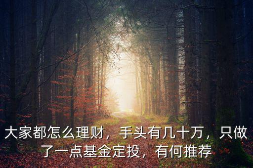 大家都定投了什么基金,只做了一點基金定投