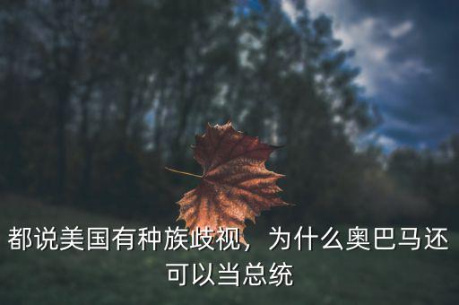 都說美國有種族歧視，為什么奧巴馬還可以當總統(tǒng)