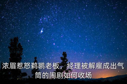濃眉惹怒鵜鶘老板，經(jīng)理被解雇成出氣筒的鬧劇如何收?qǐng)? class=