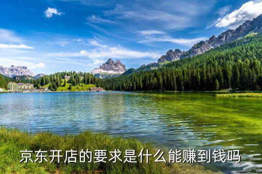 京東開(kāi)店的要求是什么能賺到錢(qián)嗎