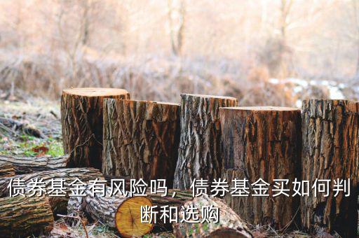 債券基金有風(fēng)險(xiǎn)嗎，債券基金買如何判斷和選購(gòu)