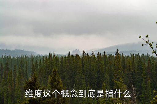維度這個概念到底是指什么