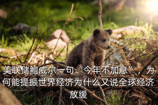 美聯(lián)儲鮑威爾一句“今年不加息”，為何能提振世界經(jīng)濟為什么又說全球經(jīng)濟放緩