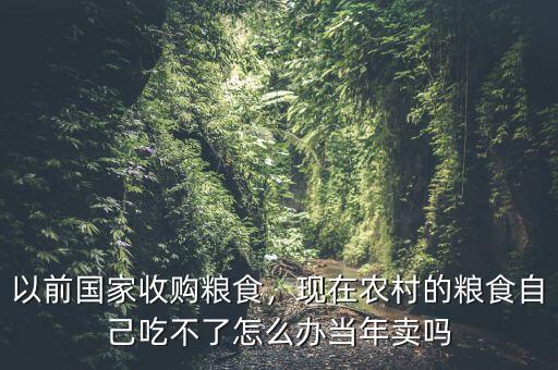 以前國家收購糧食，現(xiàn)在農(nóng)村的糧食自己吃不了怎么辦當年賣嗎
