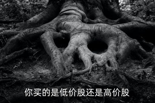 你買(mǎi)的是低價(jià)股還是高價(jià)股