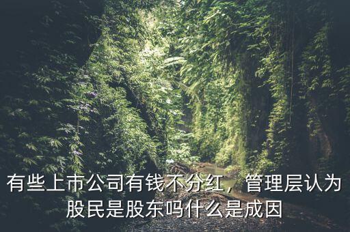 公司不分紅大股東靠什么賺錢(qián),有些上市公司有錢(qián)不分紅