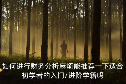 如何進(jìn)行財(cái)務(wù)分析麻煩能推薦一下適合初學(xué)者的入門(mén)/進(jìn)階學(xué)籍嗎