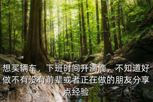 想買輛車，下班時(shí)間開滴滴，不知道好做不有沒有前輩或者正在做的朋友分享點(diǎn)經(jīng)驗(yàn)