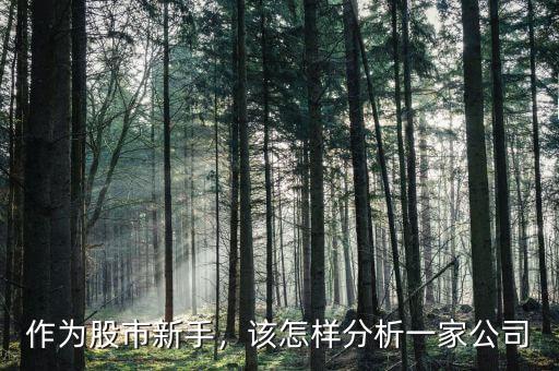 作為股市新手，該怎樣分析一家公司