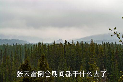 張?jiān)评椎箓}期間都干什么去了