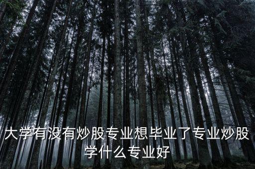 炒股屬于什么專(zhuān)業(yè),大學(xué)有沒(méi)有炒股專(zhuān)業(yè)