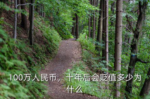 100萬人民幣，十年后會貶值多少為什么